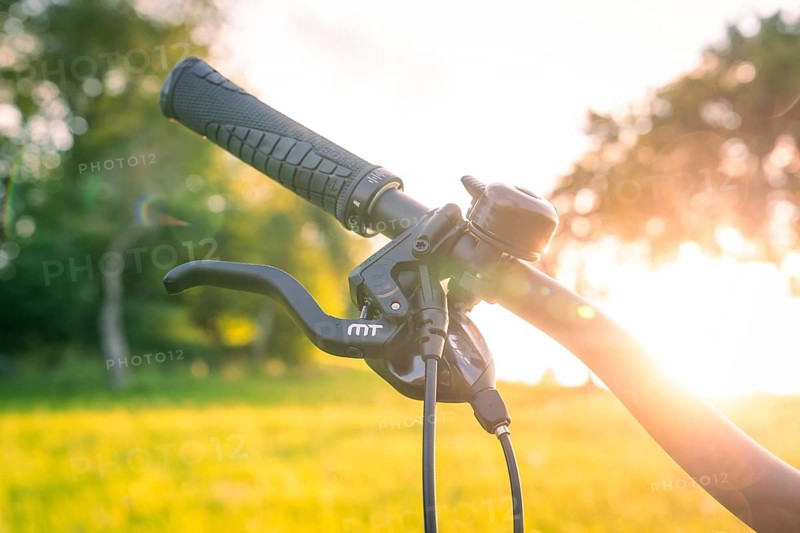 Bicycle handlebars with handle in the sunset, nature and trees in the background, forest bike, e-bike, Calw, Black Forest, Germany