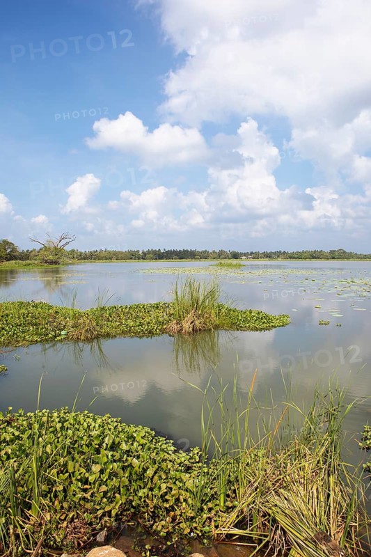 Debara Wewa Reservoir, Tissamaharama, Southern Province, Sri Lanka