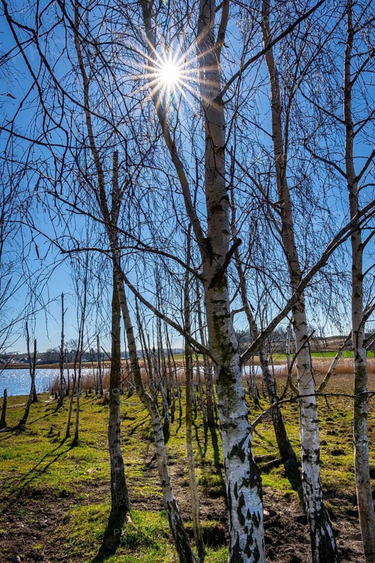 Landscape at Lake Neuensien on the island of Rügen, Mecklenburg-Western Pomerania, Germany