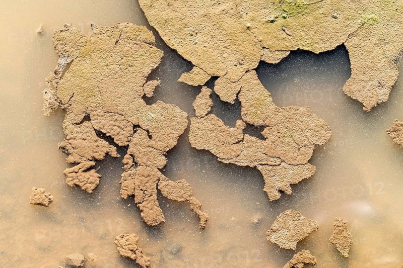 Puddle, looks like a map of Europe