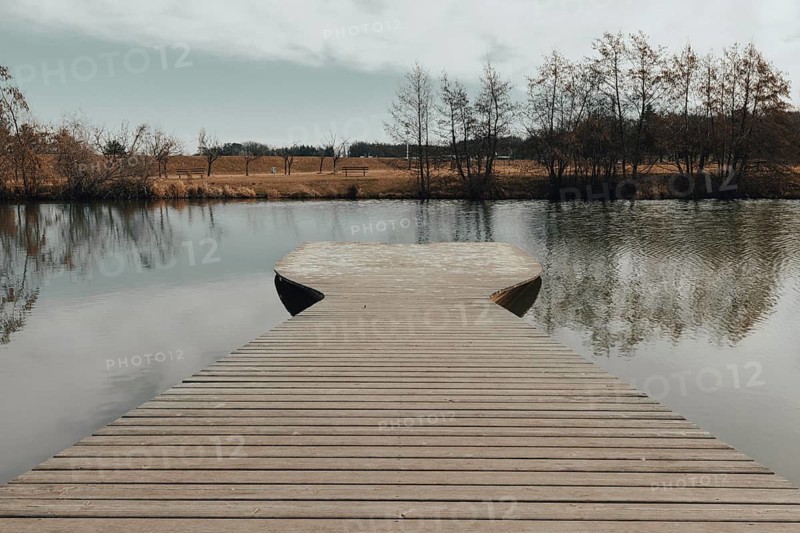 A wooden footbridge extends into a tranquil pond with a clear reflection of the trees, Drudenteich, Neunkirchen, Lower Austria, Austria