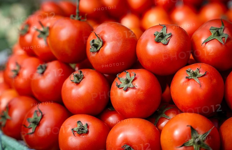 Vendor diaplays tomatoes to sell at a market, on the day of the presentation of Union Budget, in Guwahati, India on 1 February 2025. Finance Minister Nirmala Sitharaman presented the Union Budget 2025-26 in the parliament today