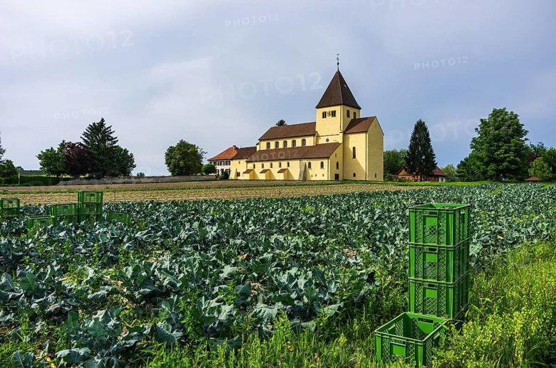 Vegetable field and St George's Church, a late Carolingian and Ottonian sacred building in Oberzell on the island of Reichenau, Lake Constance, Baden-Württemberg, Germany, a UNESCO World Heritage Site since 2000