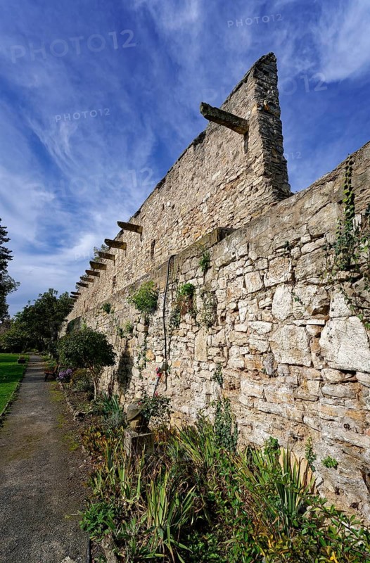 Castle wall of Creuzburg Castle. Creuzburg district, Thuringia, Germany