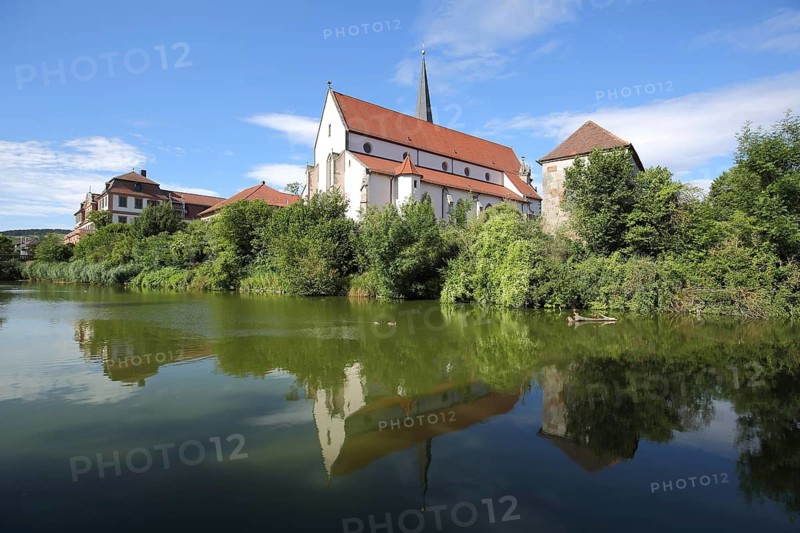 Winery Castle and St. John the Baptist Church, reflection in the pond, Hammelburg, Lower Franconia, Franconia, Bavaria, Germany
