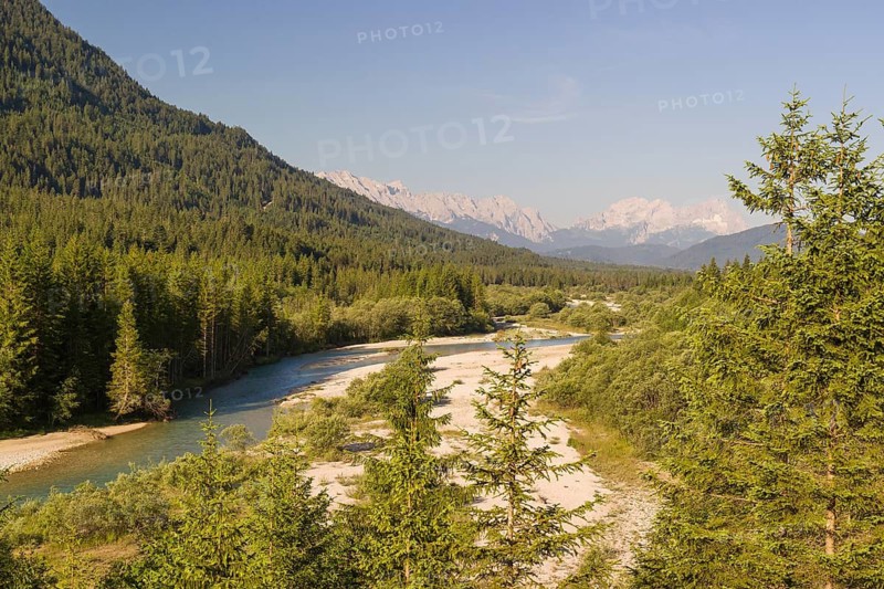 Isar valley nature conservancy area. The wild Isar river flows through its gravel bed past driftwood and entrained trees and bushes . Early morning