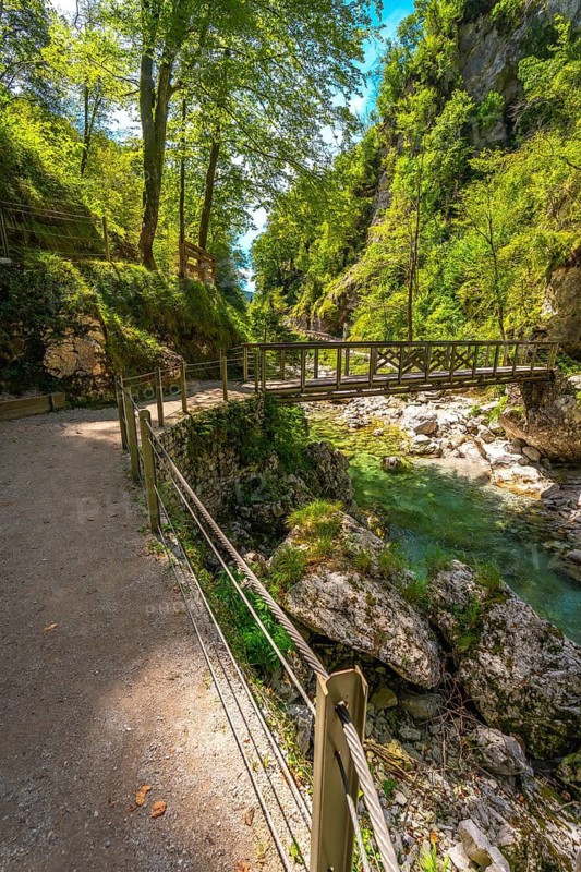 Scenic view of wooden bridge over tolminka river, surrounded by lush vegetation, in tolmin gorges, slovenia