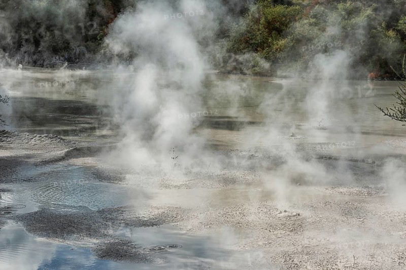 Hot bubbling mud pool, Waiotapu Thermal Park, Waiotapu, Rotorua, Bay of Plenty, North Island, New Zealand