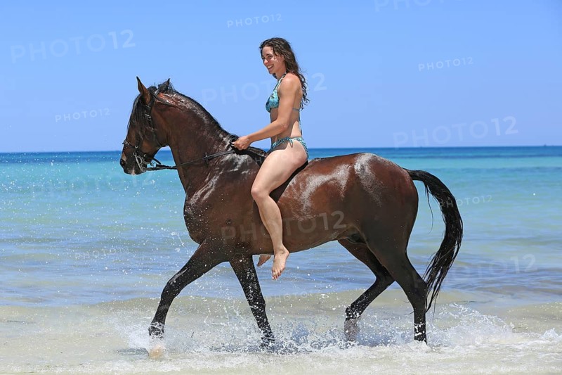 Riding holiday, Djerba, Tunisia, swimming with horses, riding, sea