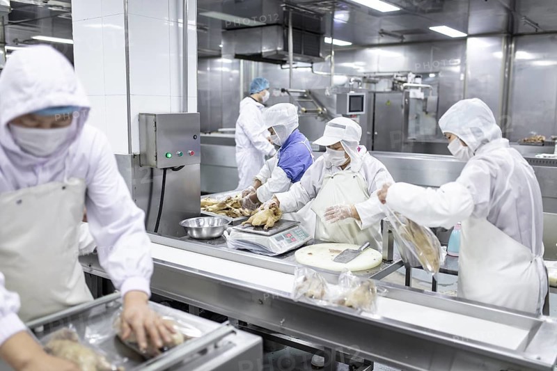 Production of salted ducks in the Nan Jing Ying Tao Yo Co. Ltd. factory, for consumption in restaurants but also for sale as durable products and as souvenirs, the frozen ducks come from the duck farms, are salted, brined, dried and scalded, Nanjing, China