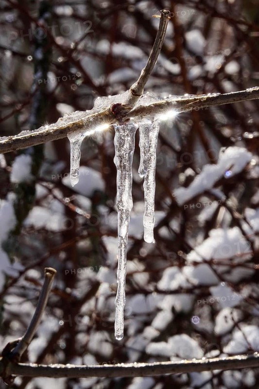 Wintertime, snow crystals, Saxony, Germany