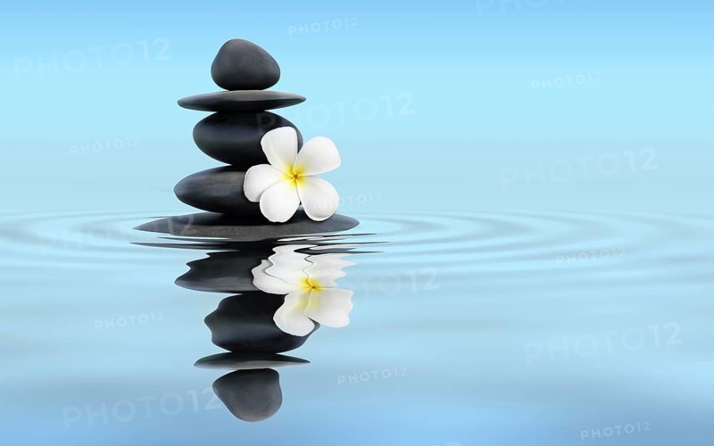 Zen spa concept panoramic banner image, Zen massage stones with frangipani plumeria flower in water reflection