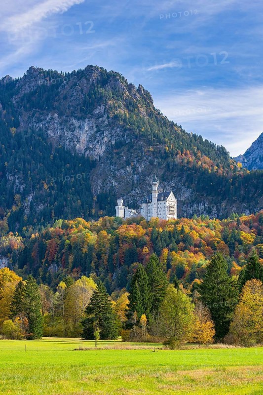 Neuschwanstein Castle in autumn, Schwangau, Ostallgäu, Allgäu, Swabia, Upper Bavaria, Bavaria, Germany