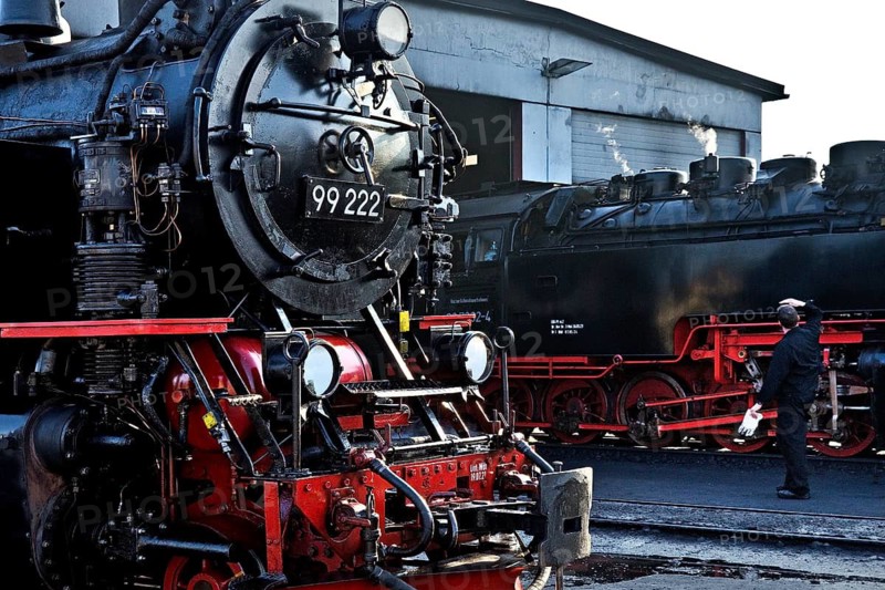 Steam locomotives at the engine shed, Harz narrow-gauge railway, abbreviated HSB, Wernigerode station, railway romance, nostalgia, Saxony-Anhalt, Germany
