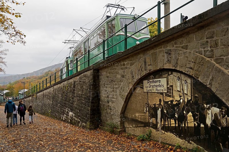 Drachenfels railway with old photo on the Eselsweg, the ascent to Drachenfels, Königswinter, Siebengebirge, North Rhine-Westphalia, Germany
