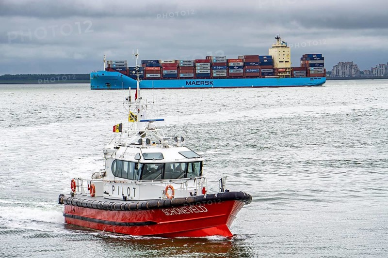 The Belgian pilot boat Schonefeld enters the Pilot Boat harbour of Vlissingen, has dropped off a pilot on the Danish container ship Vistula Maersk, which is sailing to the port of Antwerp, in the Westerschelde, Zeeland, Netherlands