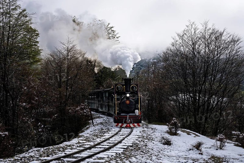 Tren del Fin del Mundo steam locomotive with passenger car on narrow-gauge track, snowy landscape with southern beech trees, Tierra del Fuego National Park, Ushuaia, Tierra del Fuego, Argentina