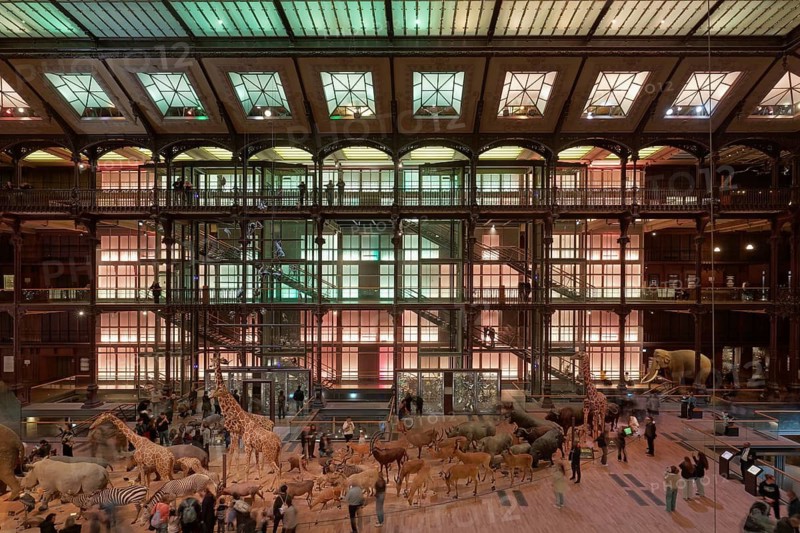 Grande Galerie de l'Evolution, Musée National d'Historie Naturell, National Museum of Natural History, exhibition hall with animal models, Jardin des Plantes, Paris, France
