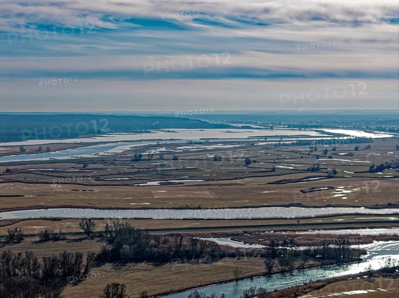 Ice and snow-covered foothills of the Oder in the Lower Oder Valley National Park. aerial view. Stützow, Uckermark, Brandenburg, Germany
