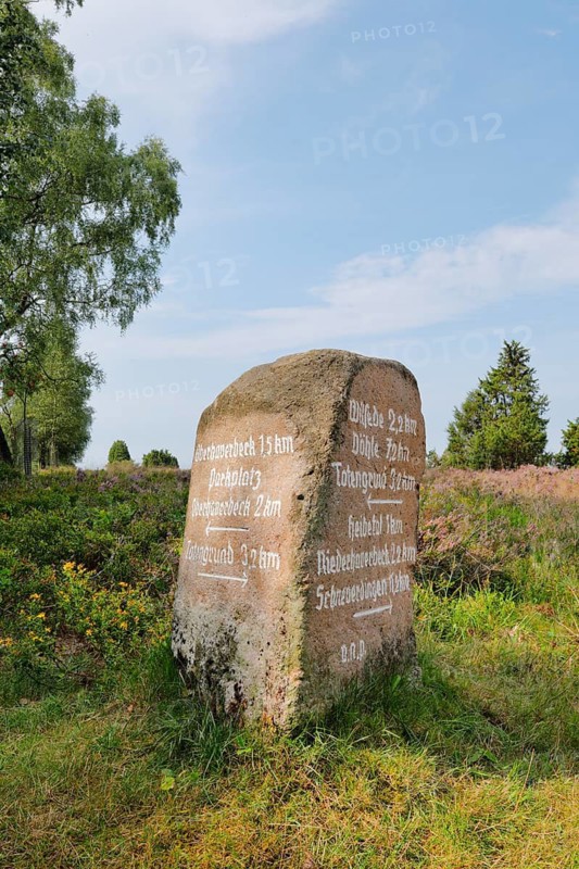 A boulder labelled as a signpost on the edge of the blooming Lüneburg Heath, Lower Saxony, Germany