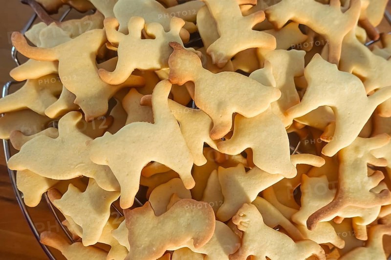 Swabian cuisine, Swabian Christmas biscuits, Ausstecherle, shortbread biscuits, cat figurines, typical Swabian, baking, Christmas biscuits, sweet biscuits, Gutsle, Bredle, baked goods, from the oven, cooling rack, cake rack, traditional cuisine, food photography, studio, Germany