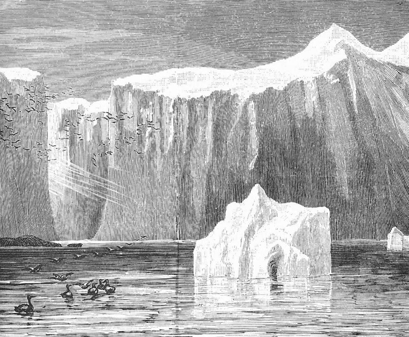 Icebergs floating in the Labrador Sea south of Greenland, ducks and birds, polar region, climate change, travelling, historical illustration 18888