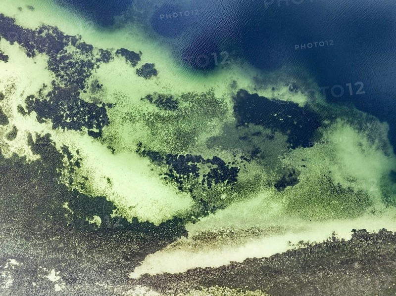 Aerial photograph, top-down view of an abruptly sloping shallow water zone in Lake Constance, district of Constance, Baden-Württemberg, Germany