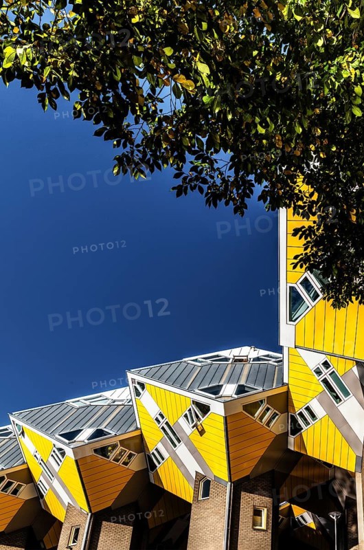 Cube houses from 1984, architect Piet Blom, Rotterdam, the Netherlands
