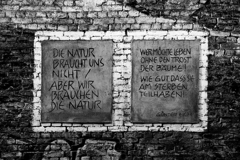 Das Wandbild mit dem Titel Weltbaum 2, Werden, Sein, Vergehen von Ben Wagin am S-Bahnhof Savignyplatz, eine Brandwandgestaltung, Berlin, Deutschland