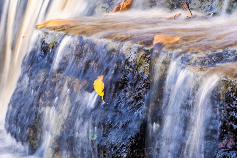 Flowing water over rocks with autumn leaf in a small stream