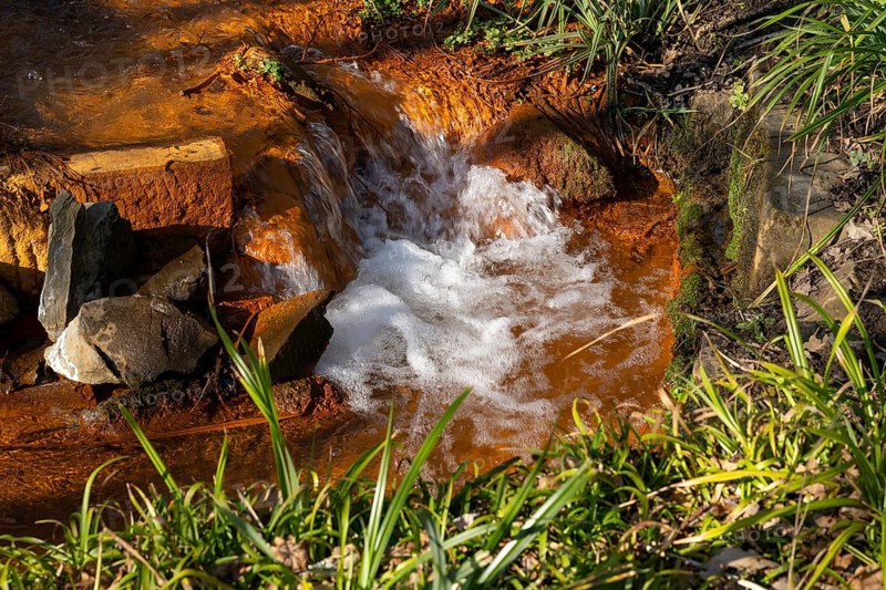 Red stream, ferrous water, Rombergpark, Dortmund, Ruhr area, North Rhine-Westphalia, Germany