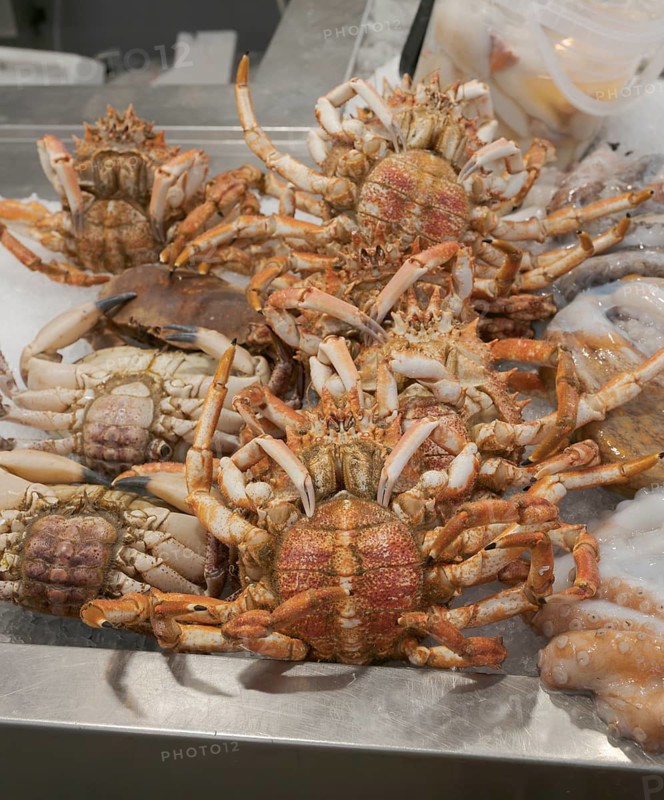 Spider crab, market, Mercado central, Cadiz, Spain