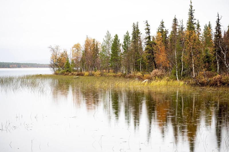 Autumnal river landscape, Lapland, Finland