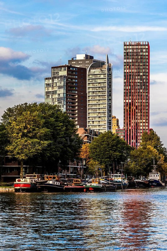 Modern architecture in the city panorama, Rotterdam, the Netherlands