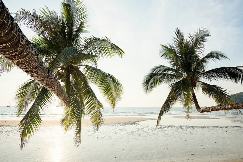 Sandy beach beach with coconut palms, Khlong Chao Beach, sunset, Koh Kood, Koh Kut, Gulf of Thailand, Thailand