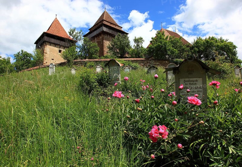 Romania, the fortified church and cemetery of Viscri, German German Weisskirch a town in the district of Brasov, Transylvania, UNESCO World Heritage Site