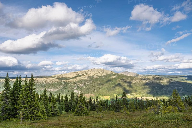 Cloudy sky over the fells, Tylldalen, Hedmark, Innlandet, Norway, June 2025