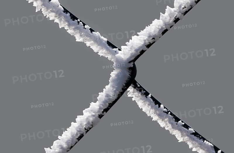A chain-link fence with hoarfrost