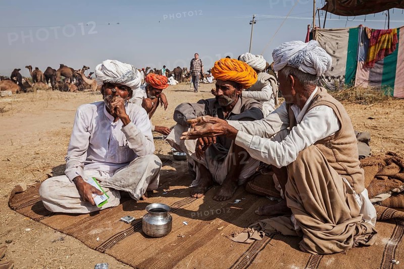 PUSHKAR, INDIA, NOVEMBER 20, 2012: Indian men and camels at Pushkar camel fair (Pushkar Mela), annual five-day camel and livestock fair, one of the world's largest camel fairs and tourist attraction