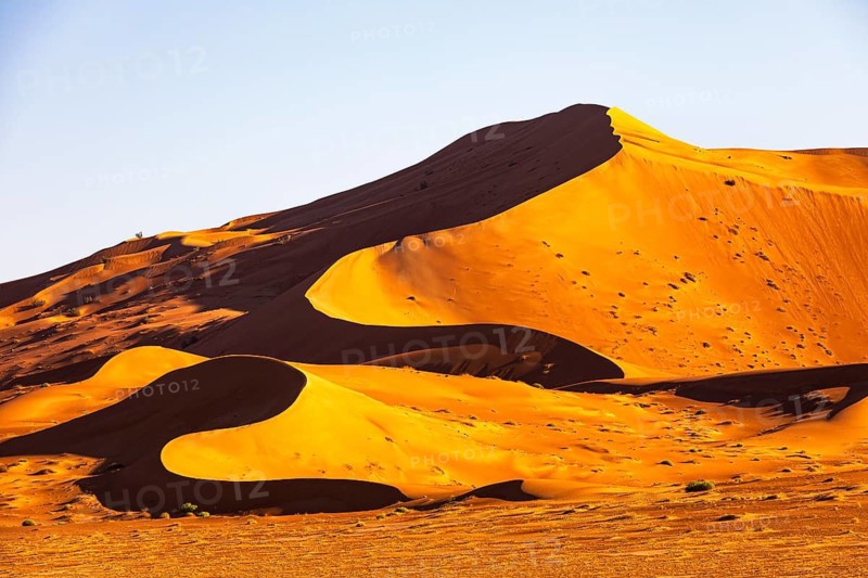 Wind-sculpted curved sand dunes in the evening light, in the Rub al Khali desert, Dhofar province, Arabian Peninsula, Sultanate of Oman