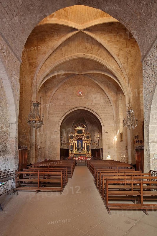 Interior view of the Gothic church Notre-Dame de Beauvoir, mountain village, Moustiers-Sainte-Marie, Provençal Alps, Western Alps, Alps, Alpes-de-Haute-Provence, Provence, France