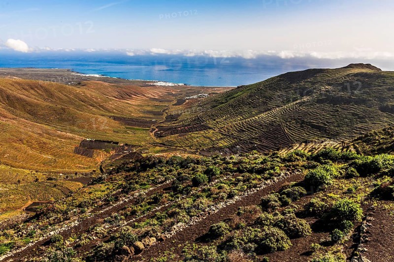 Haria village in the Valley of a Thousand Palms, Lanzarote, Canary Islands, Spain