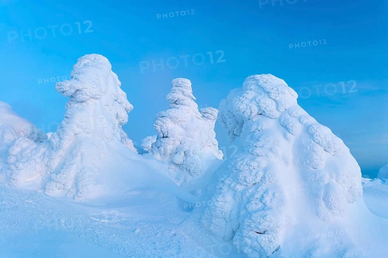 Snowy landscape with icy trees under a blue sky, calm and cold atmosphere, Brocken, Wernigerode, Harz, Harz National Park, Saxony-Anhalt, Germany