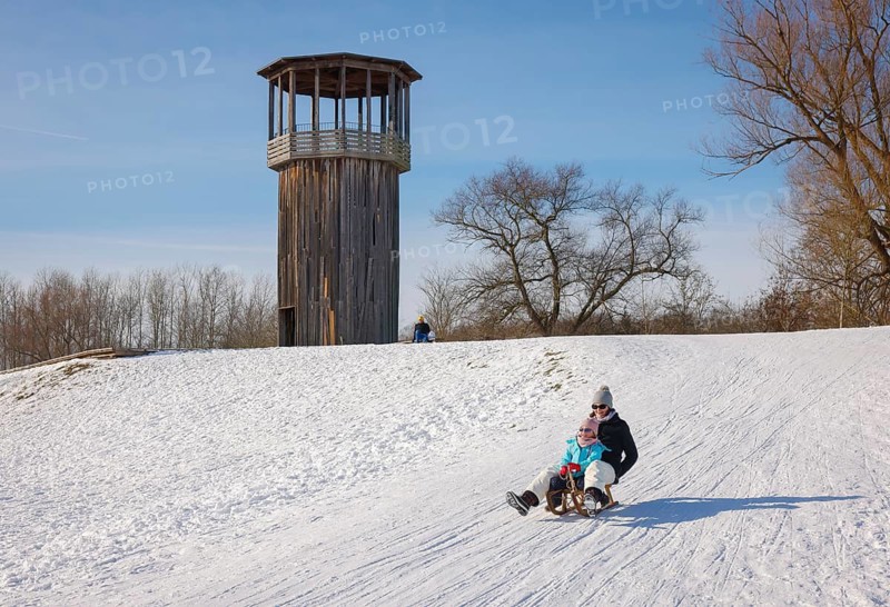 Recklinghausen, North Rhine-Westphalia, Germany - Sunny winter landscape in the Ruhr area, Emscher art in the snow, Kawamata Tower on the Emscher, WALKWAY AND TOWER, 2010, by Tadashi Kawamata, Families go sledging