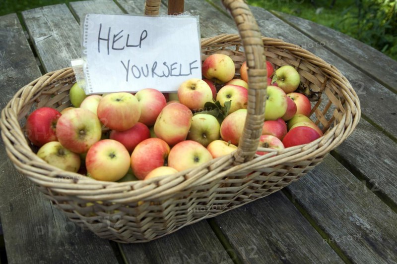 Help Yourself sign wicker basket of Discovery apples
