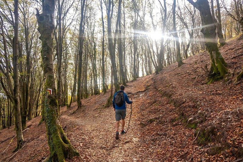 Male hiker with backpack and trekking poles walking in a forest path in aiako harria natural park, basque country, spain