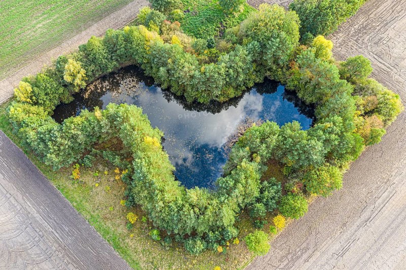 Small pond on farmland, surrounded by bushes, near Celle, Germany