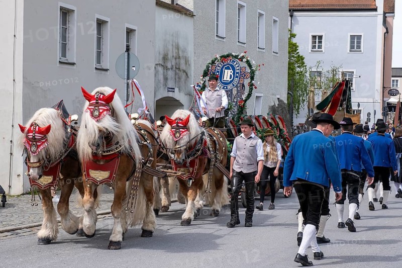Horse and carriage Innstadt Bräu, Trachten- und Schützenverein Maidultfestzug, Parade to the Maidult, Passau, Lower Bavaria, Bavaria, Germany