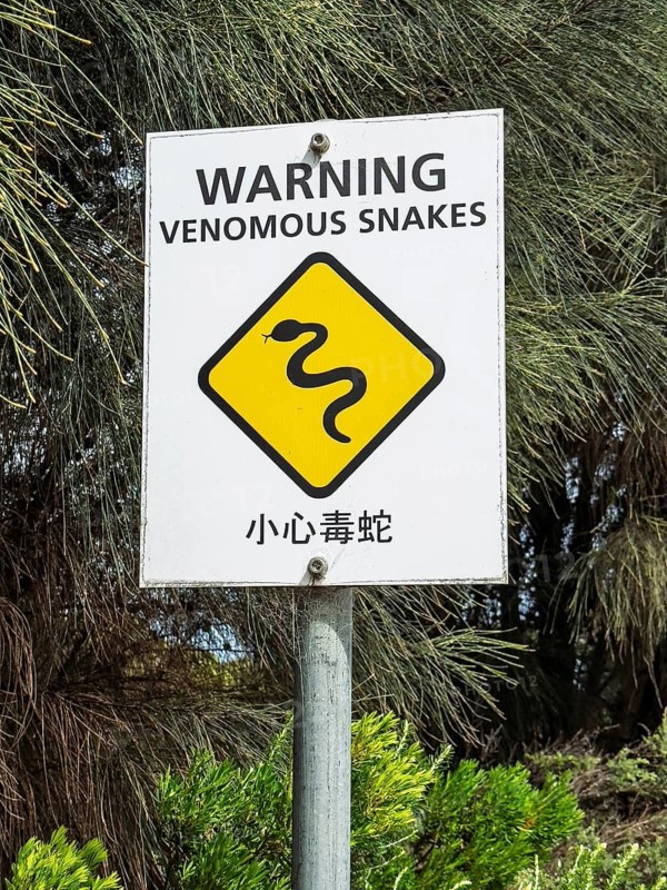 A warning sign indicating the presence of venomous snakes in a wooded area. The sign features snake imagery and bilingual text, alerting hikers to potential danger in the Great Ocean Road, Australia