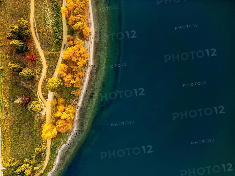 Aerial view capturing the vibrant autumn colors of Queenstown, New Zealand. Golden trees line the serene, winding paths beside a clear, deep blue lake from a drone perspective